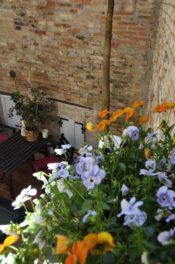 B&B Albornoz Urbino Buitenkant foto